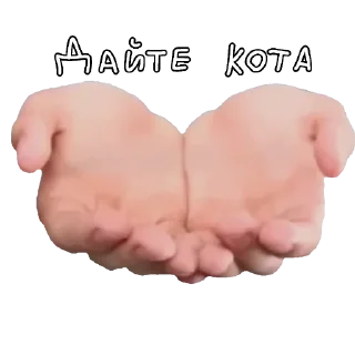 🤲