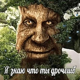 😅