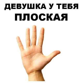 ✋️