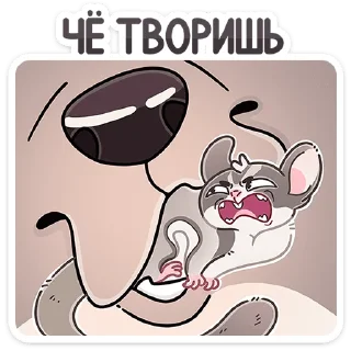 🐶