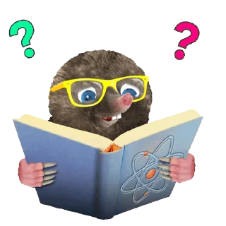 📙