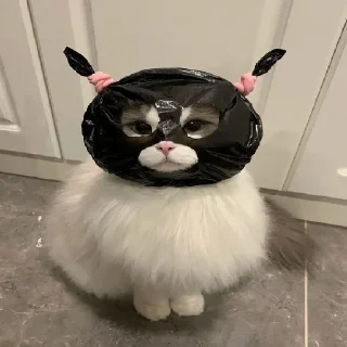 👁‍🗨