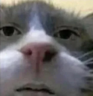 🤨