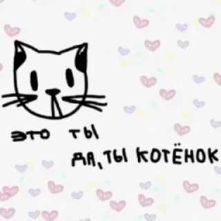 😽
