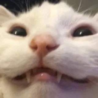 😳