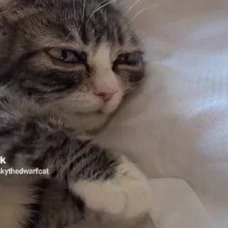 👏