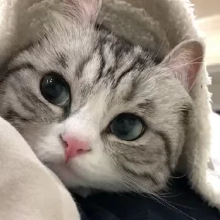 😊