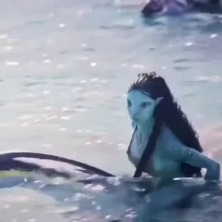 👋