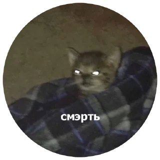 💀