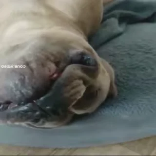 😳