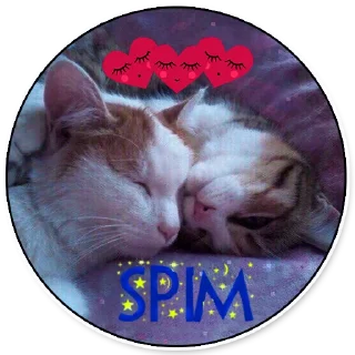 😴