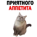 👌