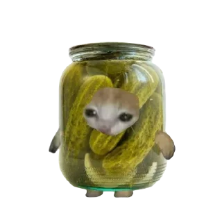 🫙