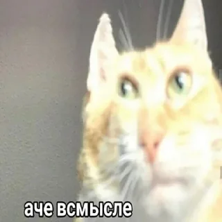 😈