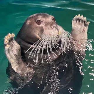 😲