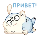 Бук от @TgSticker