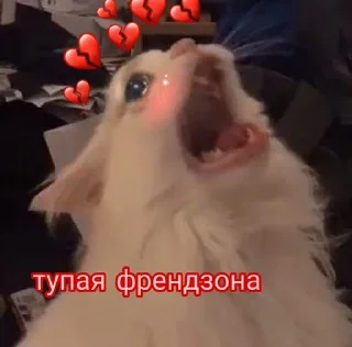 😩