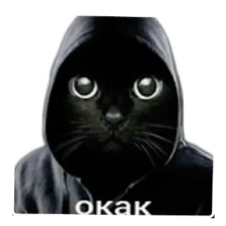 🐱