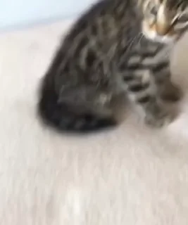 😡