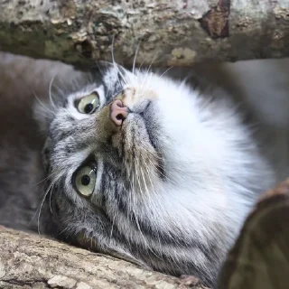 🙃