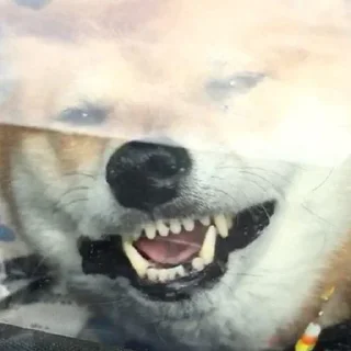 🥴