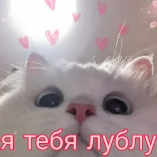 ❤️