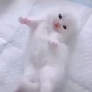 😊