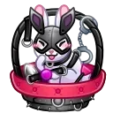 🐰