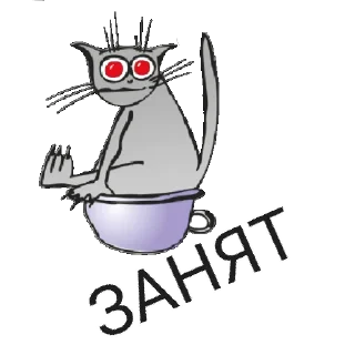 😸