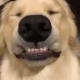 😄