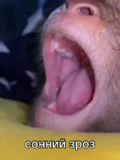 😴