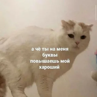 🤨