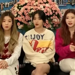 🌟
