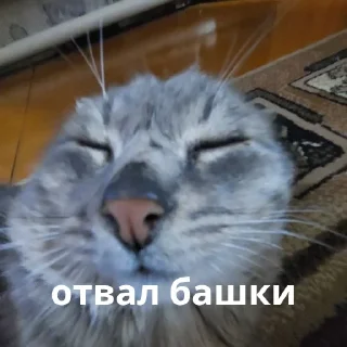 😵‍💫