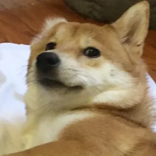 😐
