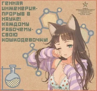 🌟