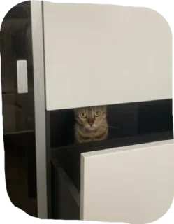 🧐