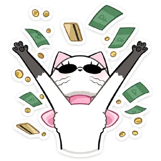 💰