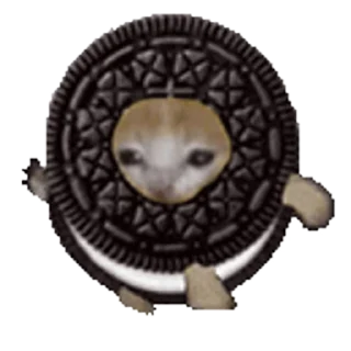 🍪