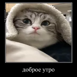 😀