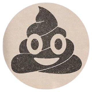 💩