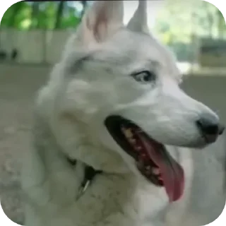 👍
