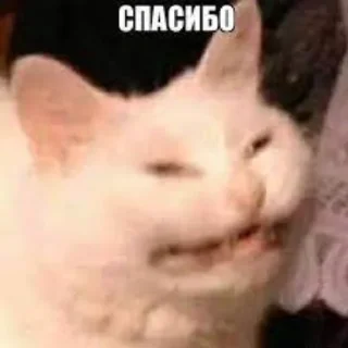 🙂