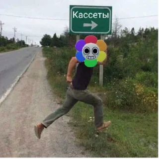 🎬