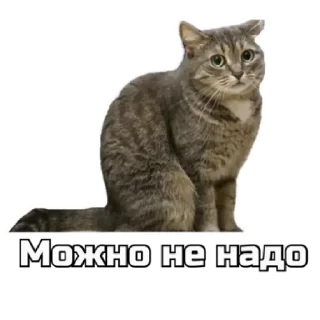 ▶️