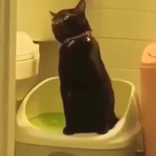 🫠