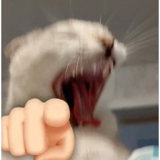 🫵