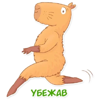 🏃