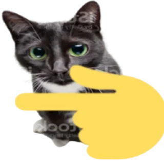 👈