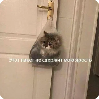 😡